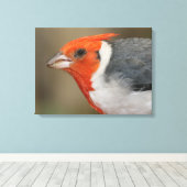 Rode Crested Kardinaal Canvas Afdruk (Insitu (Houten vloer))
