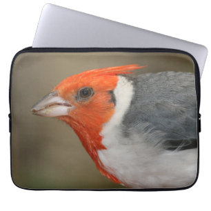 Rode Crested Kardinaal Laptop Sleeve