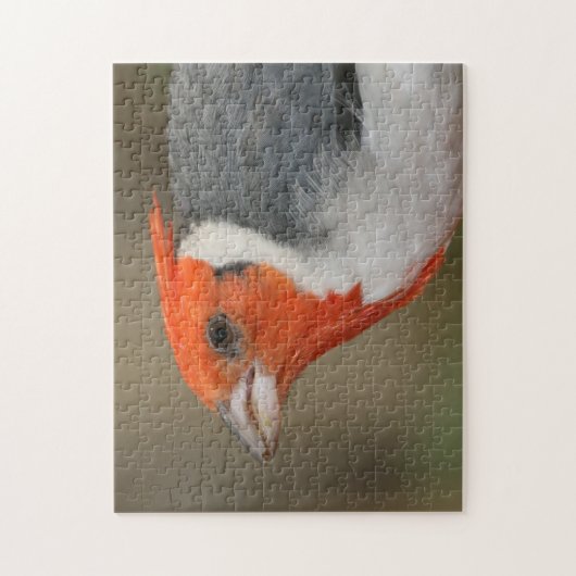 Rode Crested Kardinaal Legpuzzel (Verticaal)