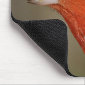 Rode Crested Kardinaal Muismat (Hoek)