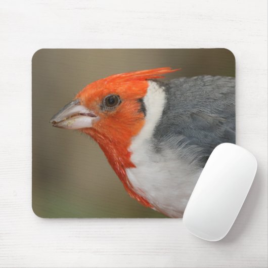 Rode Crested Kardinaal Muismat (Met muis)