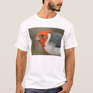 Rode Crested Kardinaal T-shirt