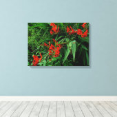 Rode Crocosmia in Bloom Canvas Afdruk (Insitu (Houten vloer))