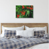 Rode Crocosmia in Bloom Canvas Afdruk (Insitu (Slaapkamer))