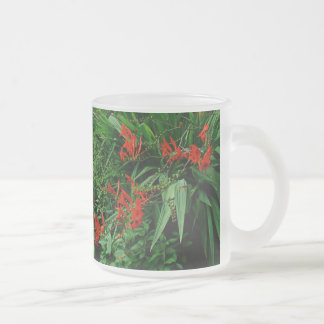 Rode crocosmia matglas koffiemok