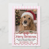 Rode Cute Hond Grappige Kerstkaart Huisdier Humor (Voorkant)