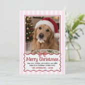 Rode Cute Hond Grappige Kerstkaart Huisdier Humor (Staand voorkant)