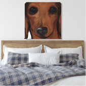 RODE DACHSHOND CANVAS AFDRUK (Insitu (Slaapkamer))