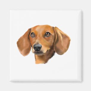 Rode Dachshond Hond Magneet
