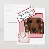 Rode Dachshund   Briefkaart (Voorkant / Achterkant)