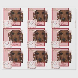 Rode Dachshund   Cadeaupapier
