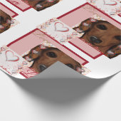 Rode Dachshund   Cadeaupapier (Hoek)