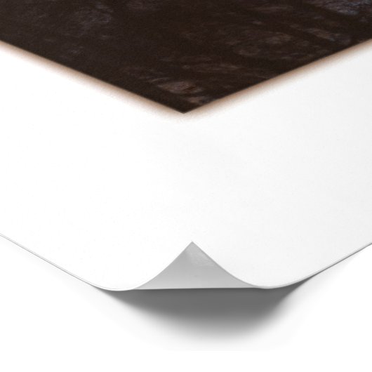 Rode dageraad poster (Hoek)