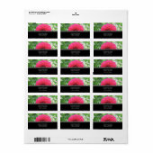 Rode Dahlia Adresetiketten Etiket (Full Sheet)