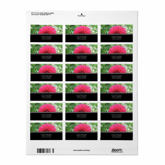 Rode Dahlia Adresetiketten Etiket (Full Sheet)