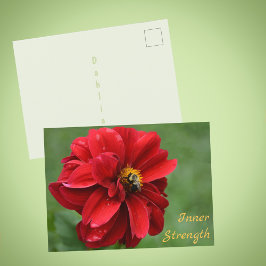 Rode Dahlia Bloem en Hommelfotografie Briefkaart