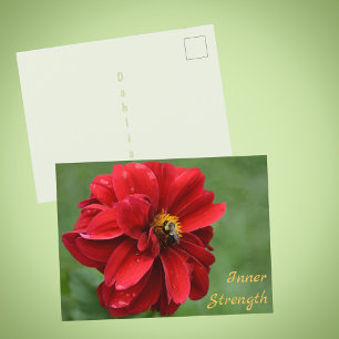 Rode Dahlia Bloem en Hommelfotografie Briefkaart