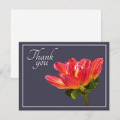 Rode Dahlia Bloem Grijze Achtergrond Dank Je Briefkaart (Voorkant / Achterkant)