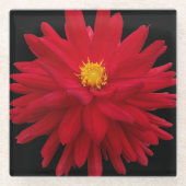 Rode Dahlia Bloom op Zwarte Bloemen Glazen Onderzetter (Voorkant)