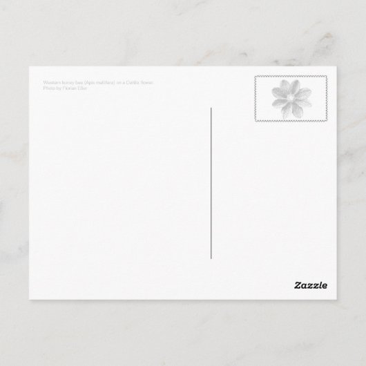 (Rode) dahlia Briefkaart (Achterkant)