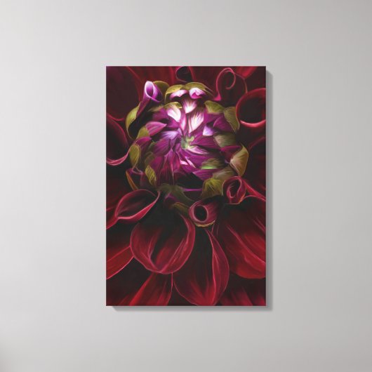 Rode Dahlia Canvas Print (Voorkant)
