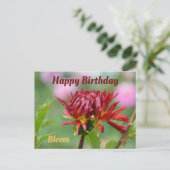 Rode Dahlia klaar om te bloeien Fotografische verj Briefkaart (Staand voorkant)