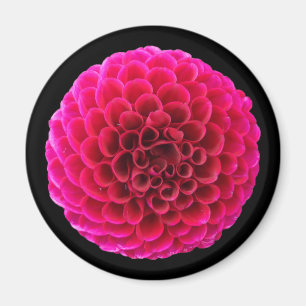 Rode Dahlia Ronde Koelkastmagneet Bloem Cadeau Magneet