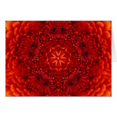 RODE DAHLIA-VLOEMVREEMDEN (Voorkant Horizontaal)