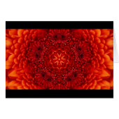 RODE DAHLIA-VLOEMVREEMDEN (Voorkant Horizontaal)