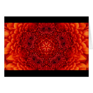 RODE DAHLIA-VLOEMVREEMDEN