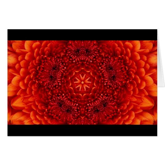 RODE DAHLIA-VLOEMVREEMDEN (Voorkant Horizontaal)