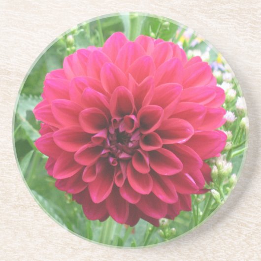 Rode Dahlia Zandsteen Onderzetters (Voorkant)