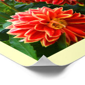 Rode dahlias floral poster (Hoek)