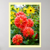 Rode dahlias floral poster (Voorkant)