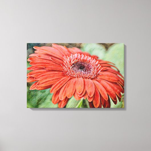 Rode Daisy Bloem Bloemen Kunst Canvas Print (Voorkant)