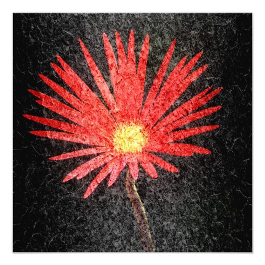 Rode Daisy Flower Painting Foto Afdruk (Voorkant)