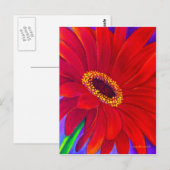 Rode Daisy Gerber Bloemen Schilderen Kunst - Multi Briefkaart (Voorkant / Achterkant)