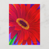 Rode Daisy Gerber Bloemen Schilderen Kunst - Multi Briefkaart (Voorkant)