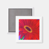 Rode Daisy Gerber Bloemen Schilderen Kunst - Multi Magneet (Voorkant / Achterkant)