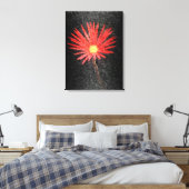 Rode Daisy op zwarte achtergrond | Abstracte schil Canvas Afdruk (Insitu (Slaapkamer))