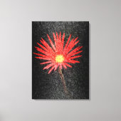 Rode Daisy op zwarte achtergrond | Abstracte schil Canvas Afdruk (Voorkant)