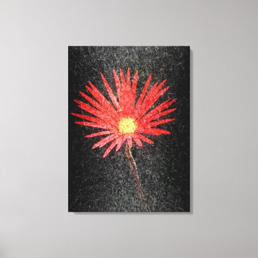Rode Daisy op zwarte achtergrond | Abstracte schil Canvas Afdruk (Voorkant)