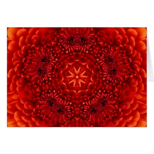 RODE DALIA BLOEM BLAADJES (Voorkant Horizontaal)