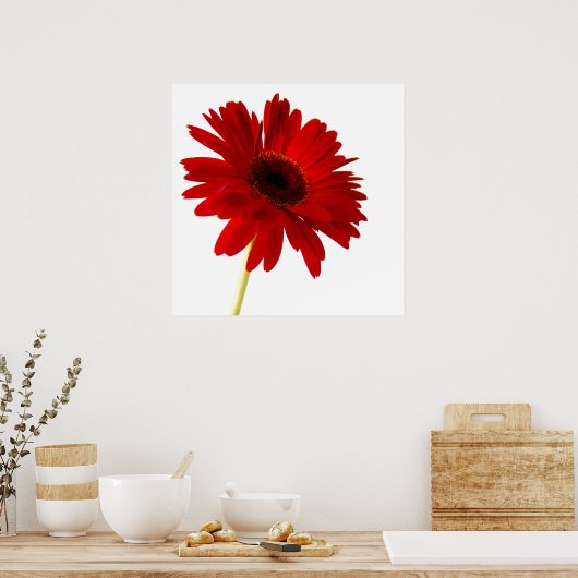 rode dame poster (Keuken)