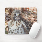 Rode De steel verwijderde van Havik Muismat (Met muis)