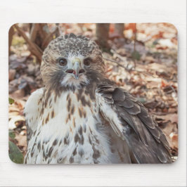 Rode De steel verwijderde van Havik Muismat