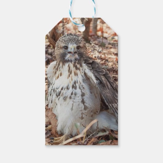 Rode De steel verwijderde van Verdubbelde Havik Cadeaulabel (Voorkant)