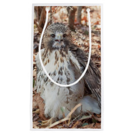 Rode De steel verwijderde van Verdubbelde Havik Klein Cadeauzakje