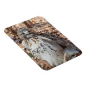 Rode De steel verwijderde van Verdubbelde Havik Magneet (Rechterzijde)