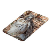 Rode De steel verwijderde van Verdubbelde Havik Magneet (Linkerzijde)